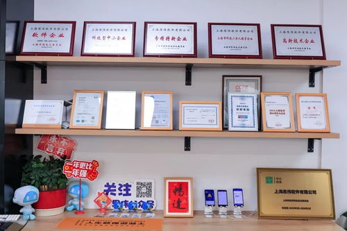 創新發展看楊浦 思偉軟件深耕工業軟件，讓每方混凝土都閃耀科技之光